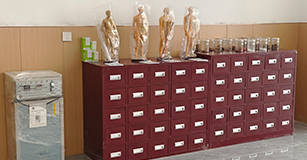 中医养生保健专业